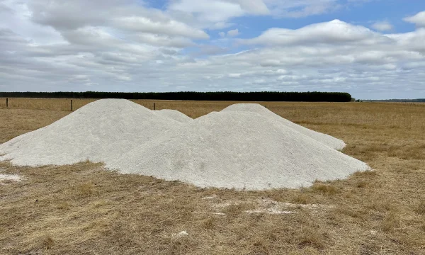 Pile of lime in a paddock