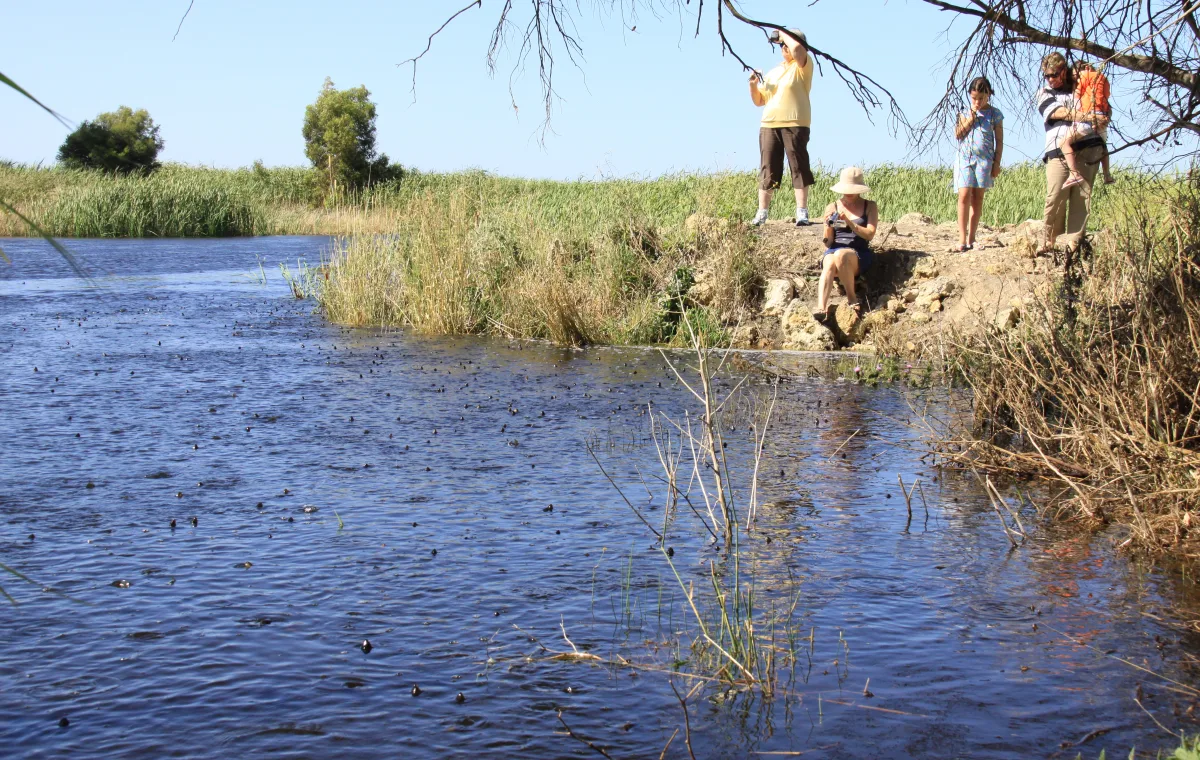 Family of five standing on edge of lake.