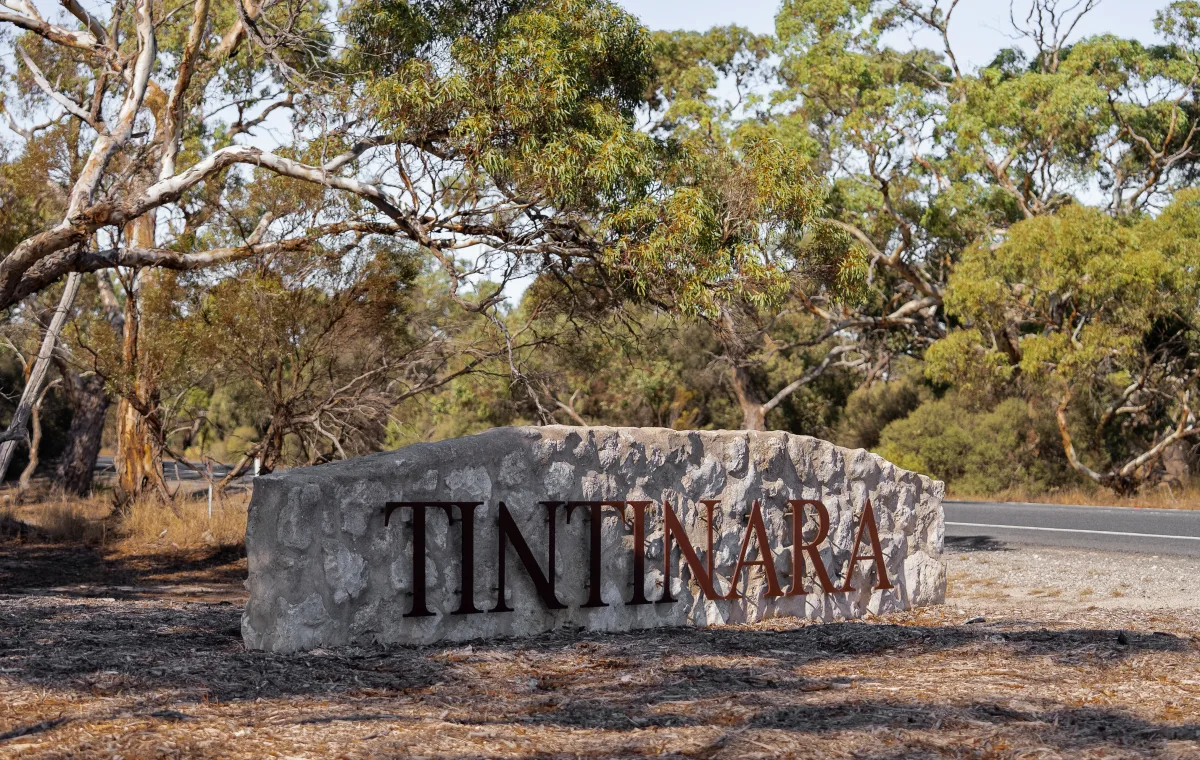 Tintinara sign