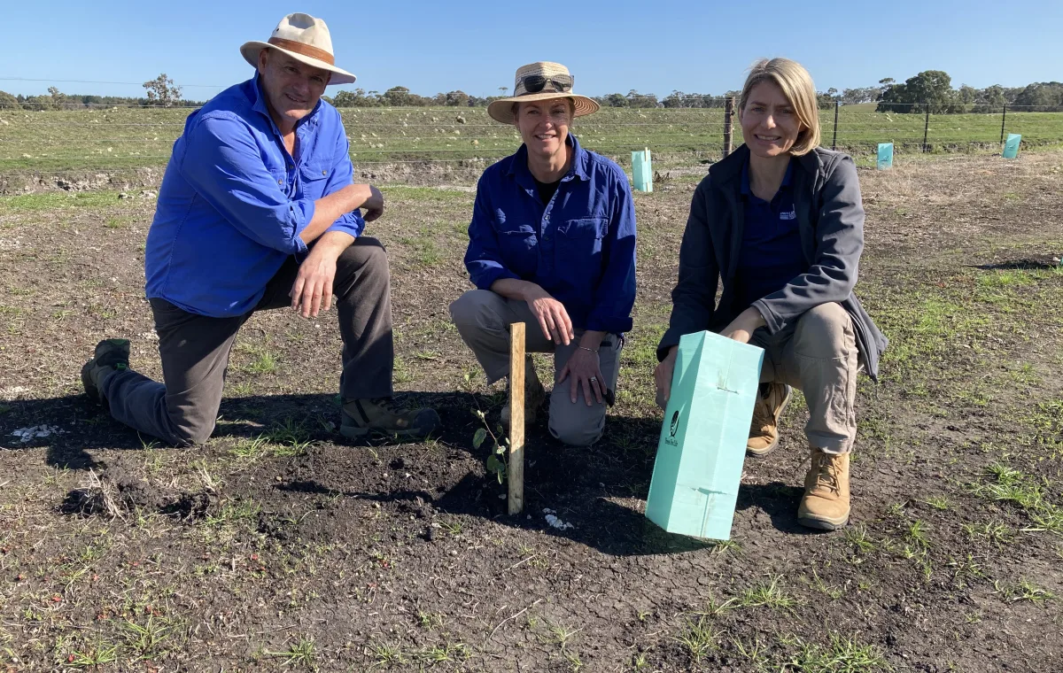 Bush Management Adviser Vanessa Freebairn with landholders at a newly established shelterbelt.