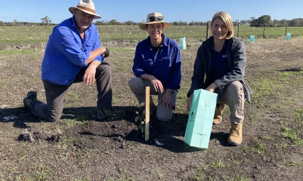 Bush Management Adviser Vanessa Freebairn with landholders at a newly established shelterbelt.