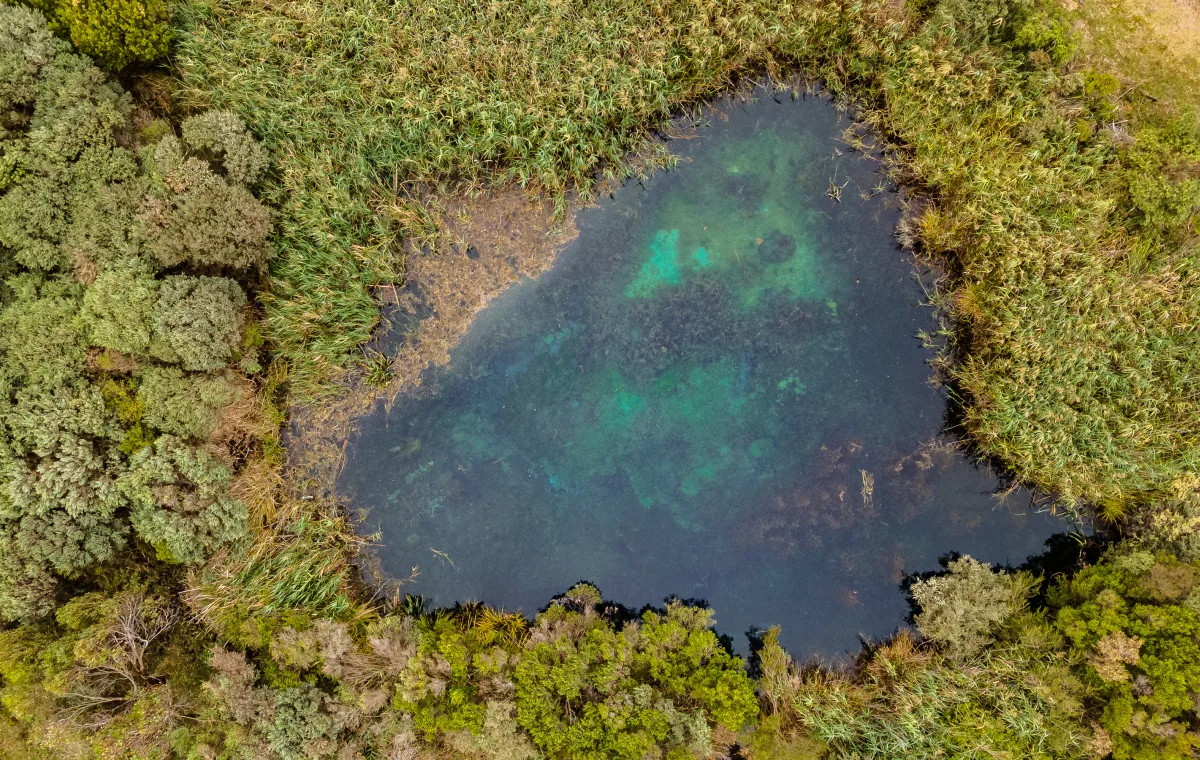 Image of Stratman's Pond