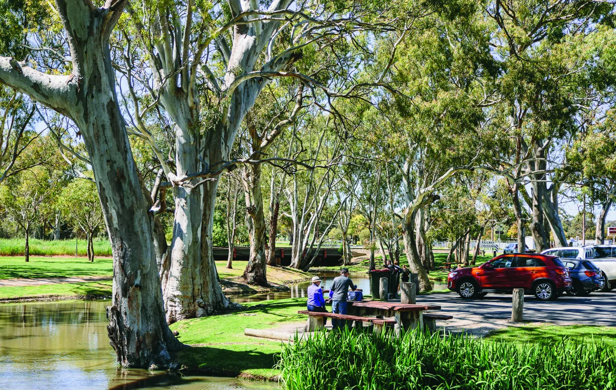 Image of Tatiara Creek