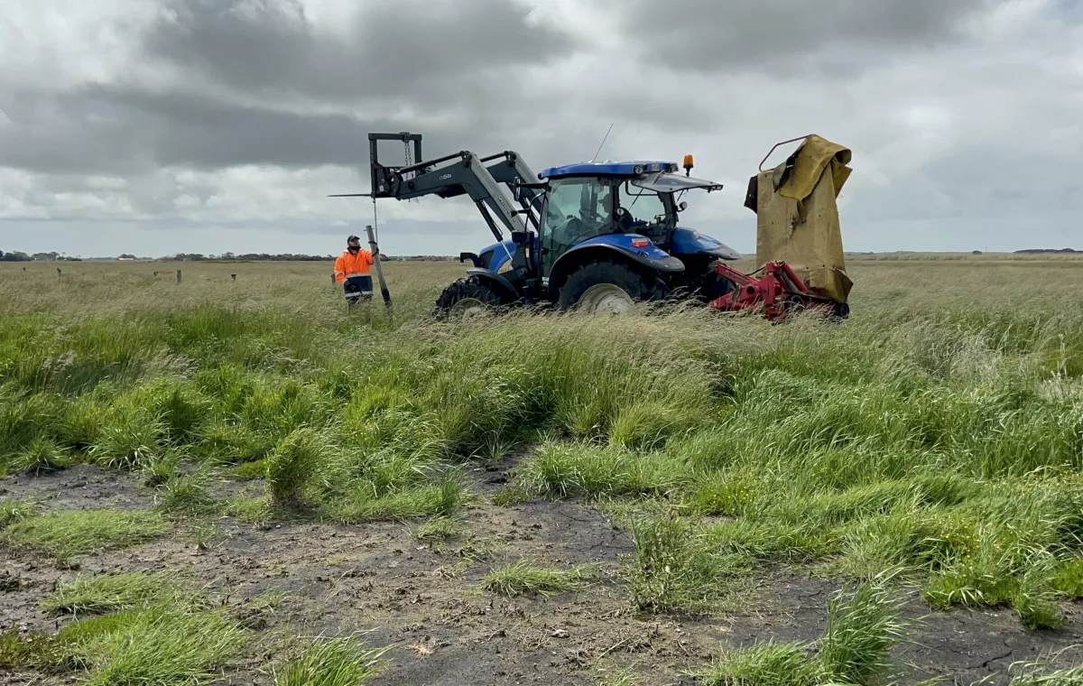 Fence post removal at Karst Spring property