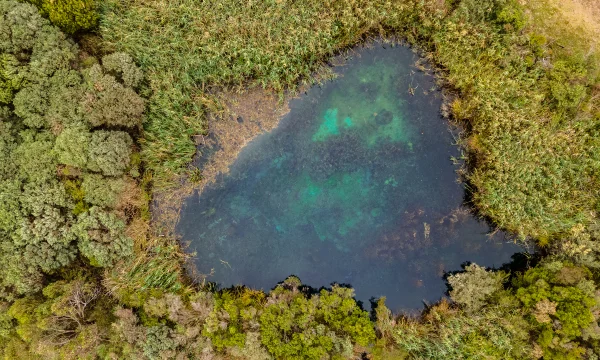 Image of Stratman's Pond