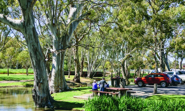 Image of Tatiara Creek