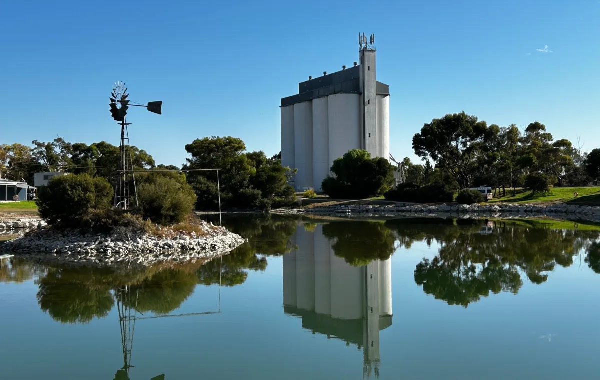 Image of Tintinara Lake