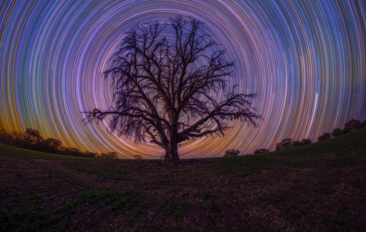 Image of tree in a rainbow sky at night - image credit John Carter