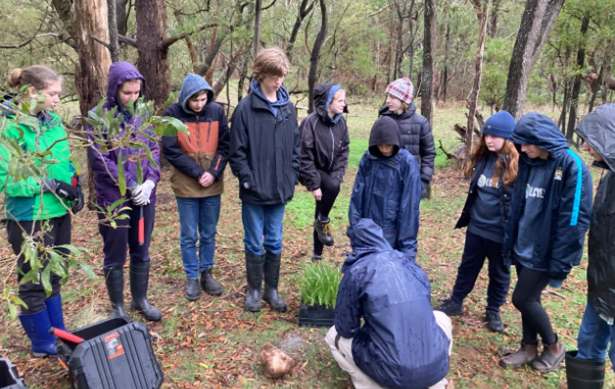 Limestone Coast Youth Environment Council members planted native grasses at the Mount Burr Rock Shelter as part of the restoration efforts currently being undertaken by Burrandies Aboriginal Corporation at the site.