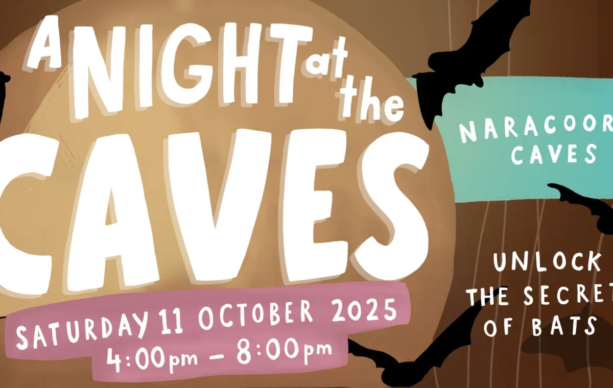 A  Night at the Caves banner
