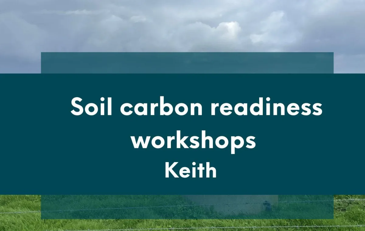 soil carbon readiness tile for Keith