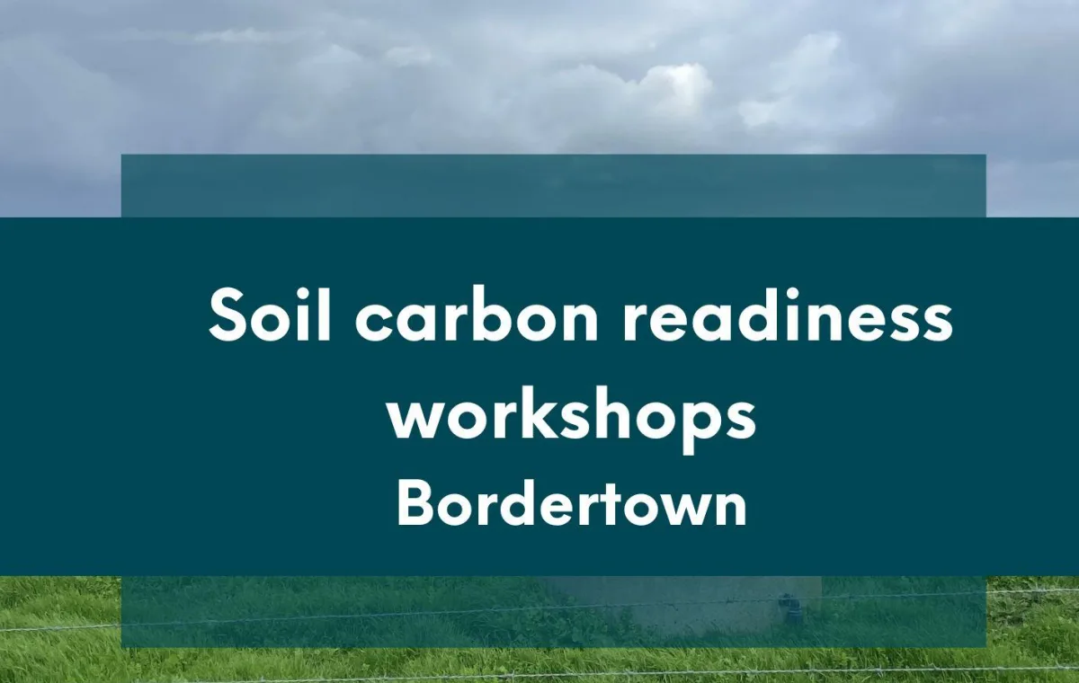 Soil carbon readiness workshop tile for Bordertown