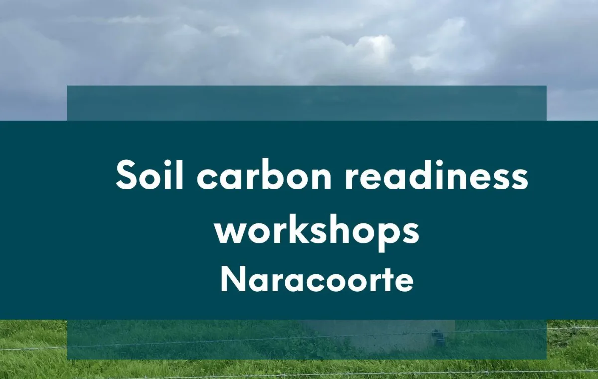 Soil carbon readiness workhsop tile for Naracoorte