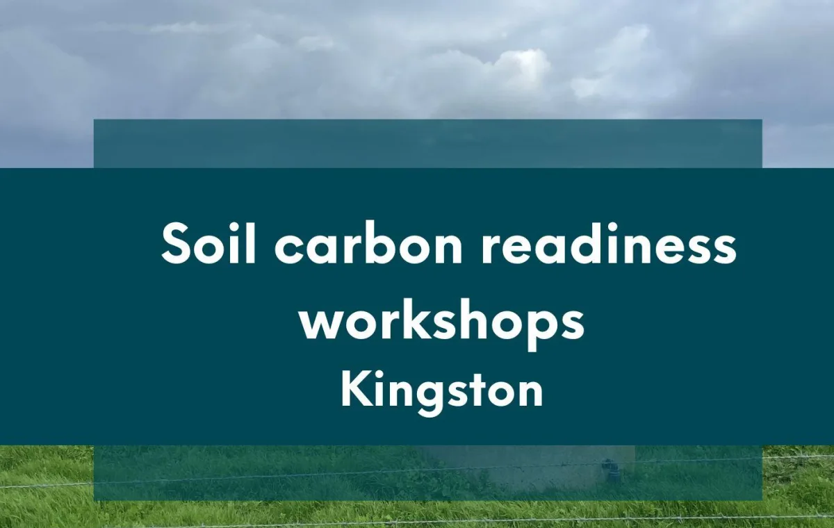 Soil carbon readiness workshop tile for Kingston