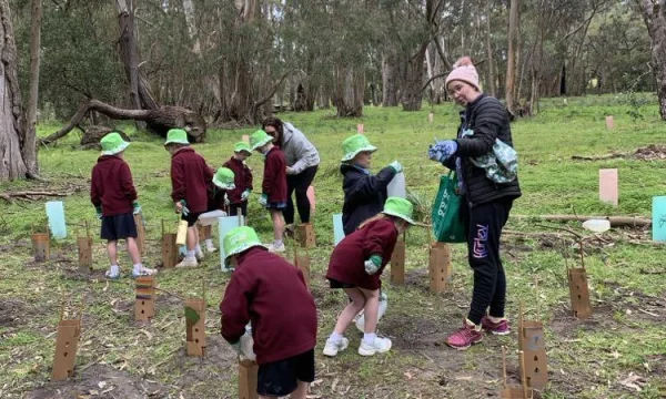 Mt Burr Trails planting day, image credit Mt Burr Trails