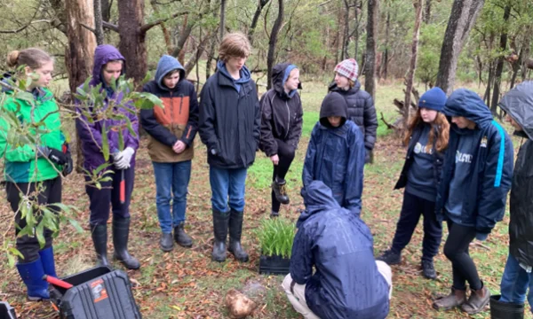 Limestone Coast Youth Environment Council members planted native grasses at the Mount Burr Rock Shelter as part of the restoration efforts currently being undertaken by Burrandies Aboriginal Corporation at the site.