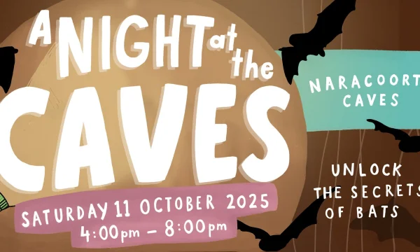 A  Night at the Caves banner