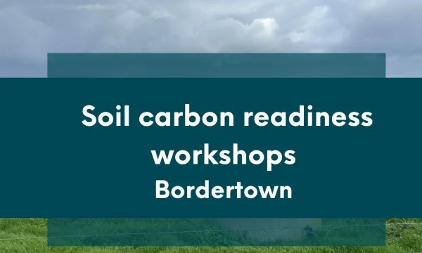 Soil carbon readiness workshop tile for Bordertown