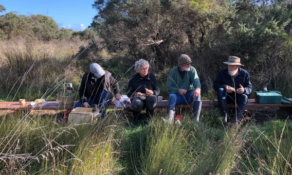 Previous recipient Port MacDonnell Landcare Group received a Limestone Coast Landscape Board Grant in 2025 for their community delivered citizen science and restoration project at Germain Reserve
